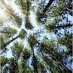 Meet your Posher, Abigail